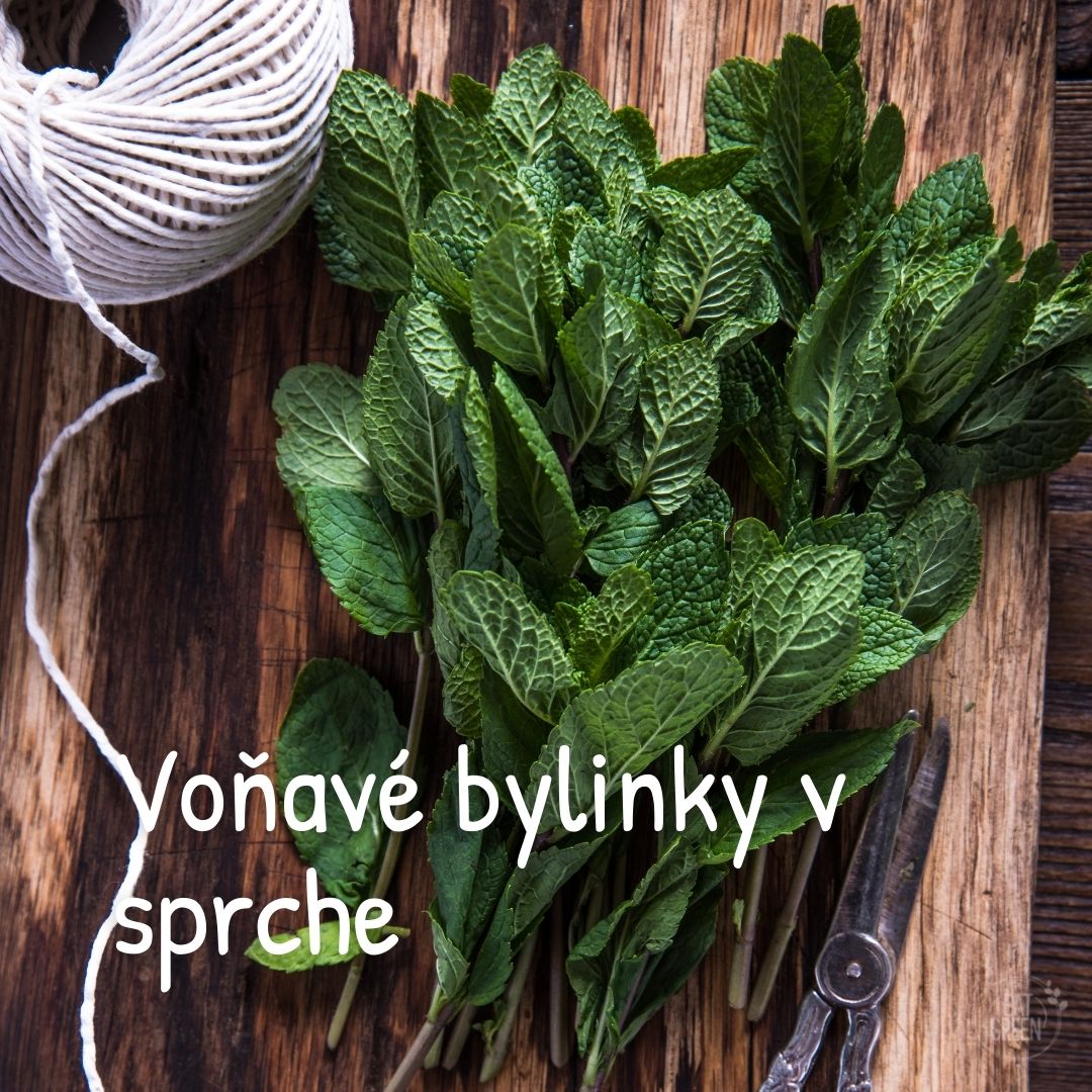 vonave bylinky